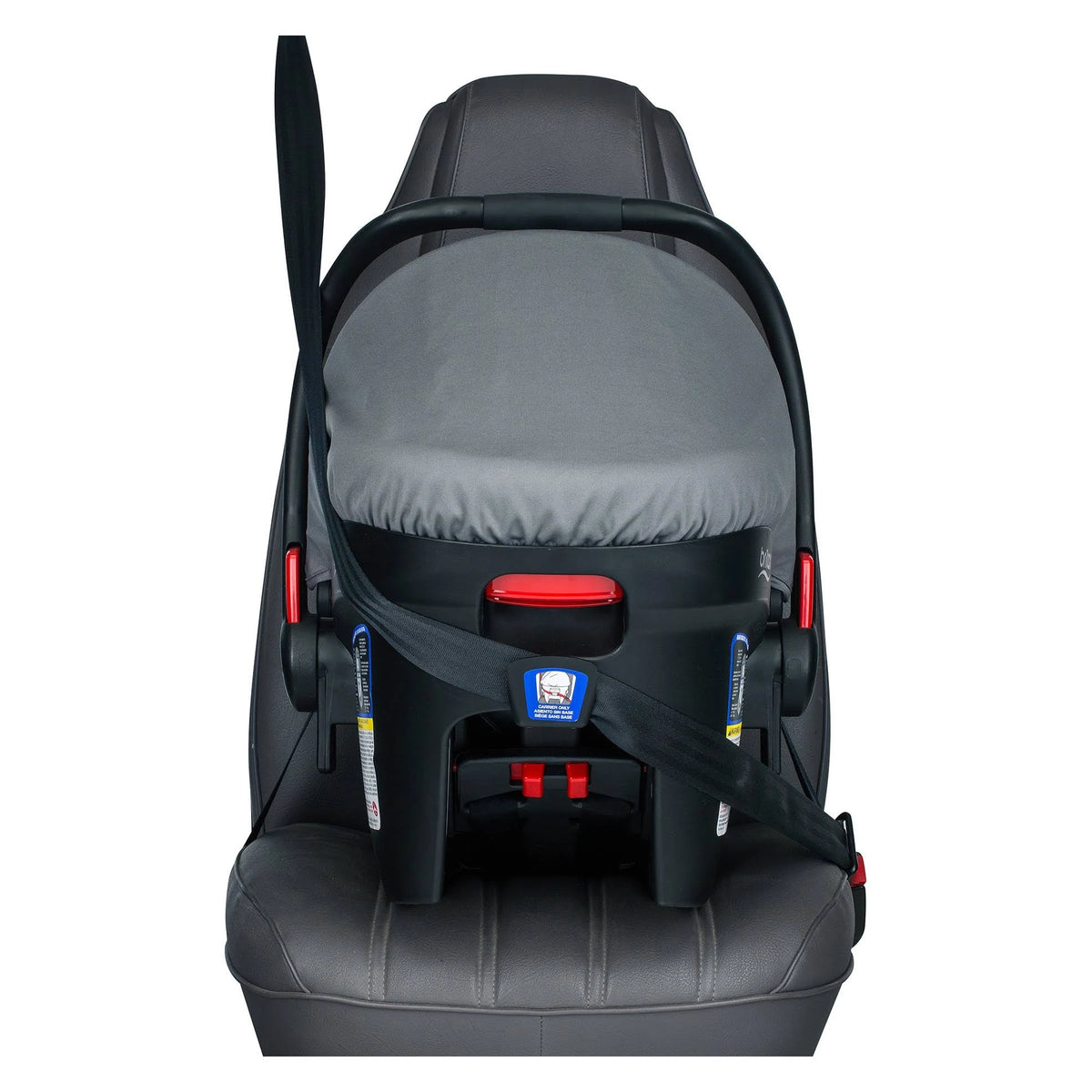 Gris Infant Car Seat P73274
