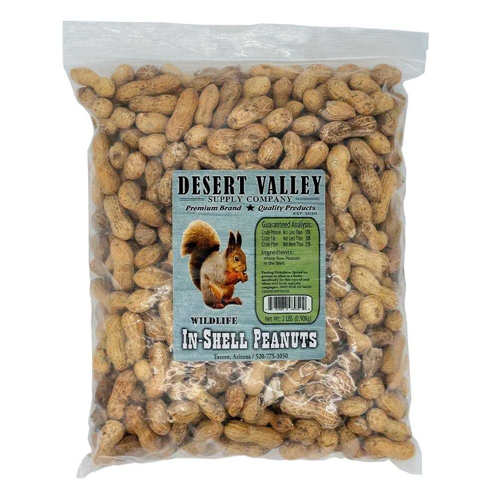 Peanuts in Shell O69775