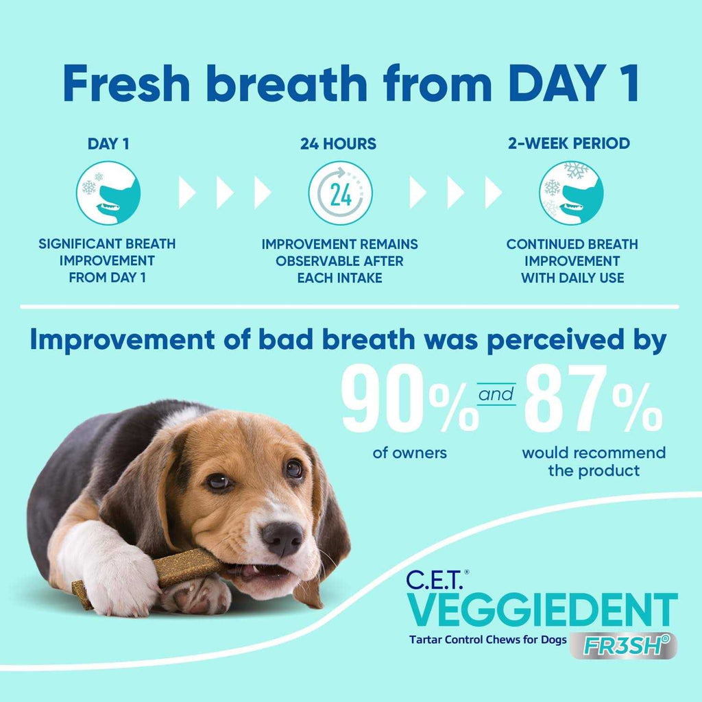 VeggieDent Tartar Control Chews for Dogs T823264
