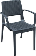 Brown Resin Dining Arm Chair Z2083