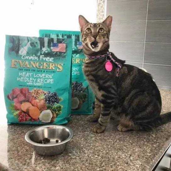 Grain Free Rabbit Dry Cat Food I980692