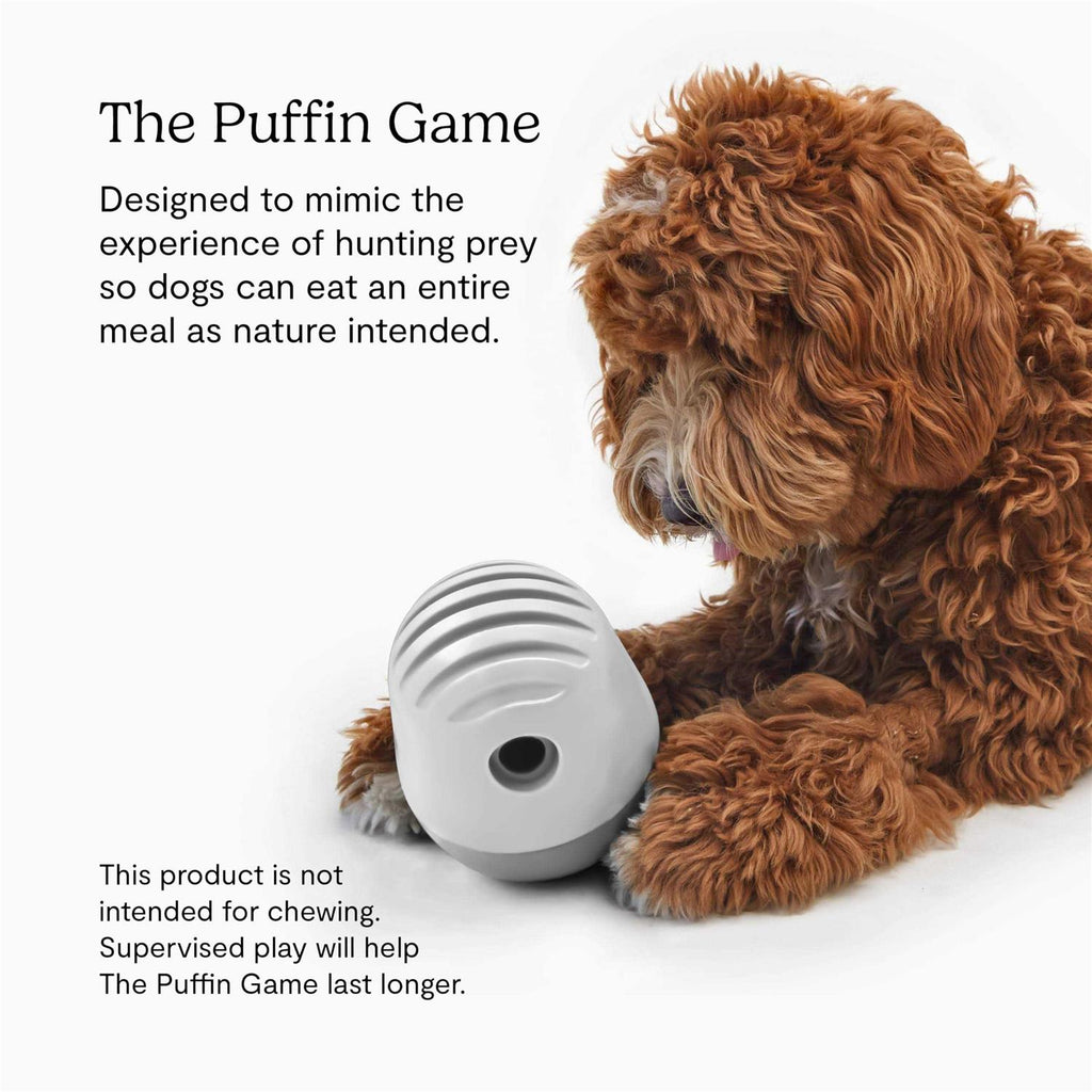 Dog Toy O635