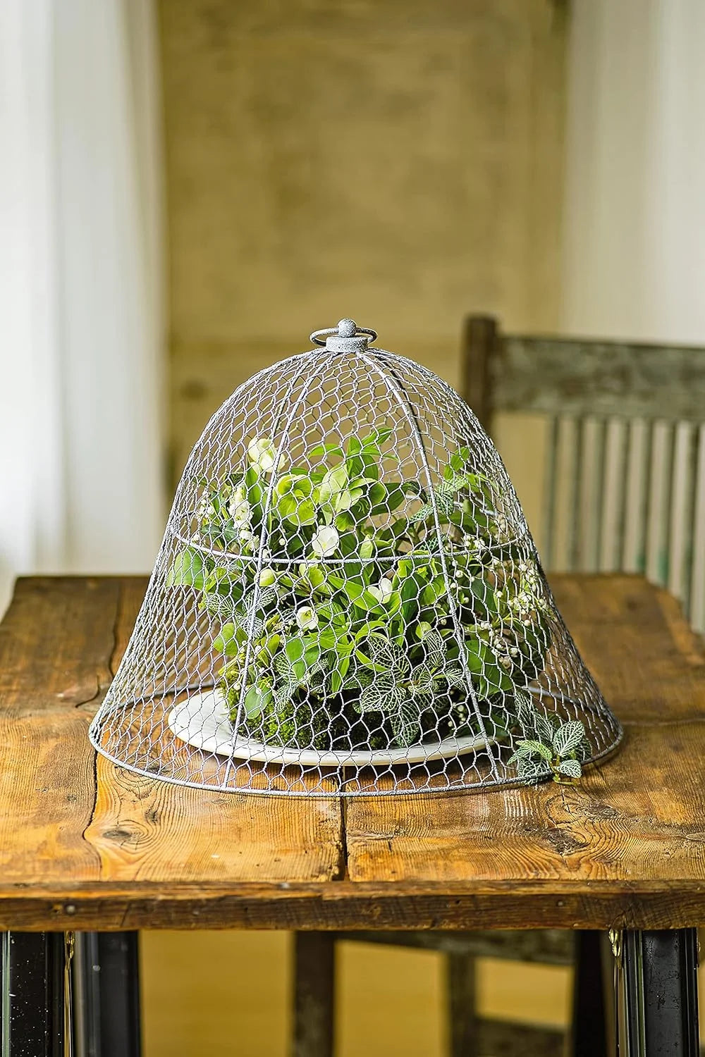 Chicken Wire Cloche Plant Protector Set of 6 X28718