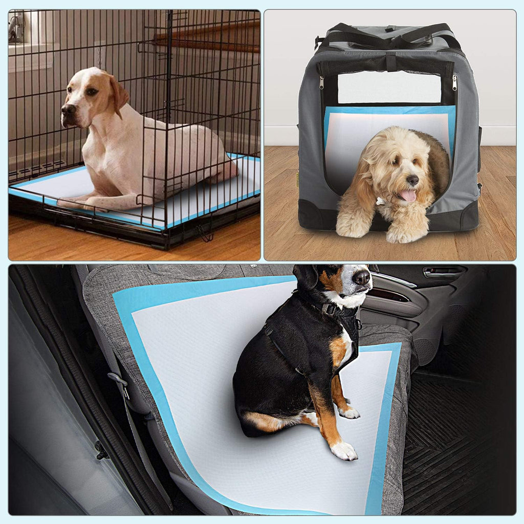 XL 28x34 Disposable Polymer Pet Training Pee Pads Pack of 2 B717